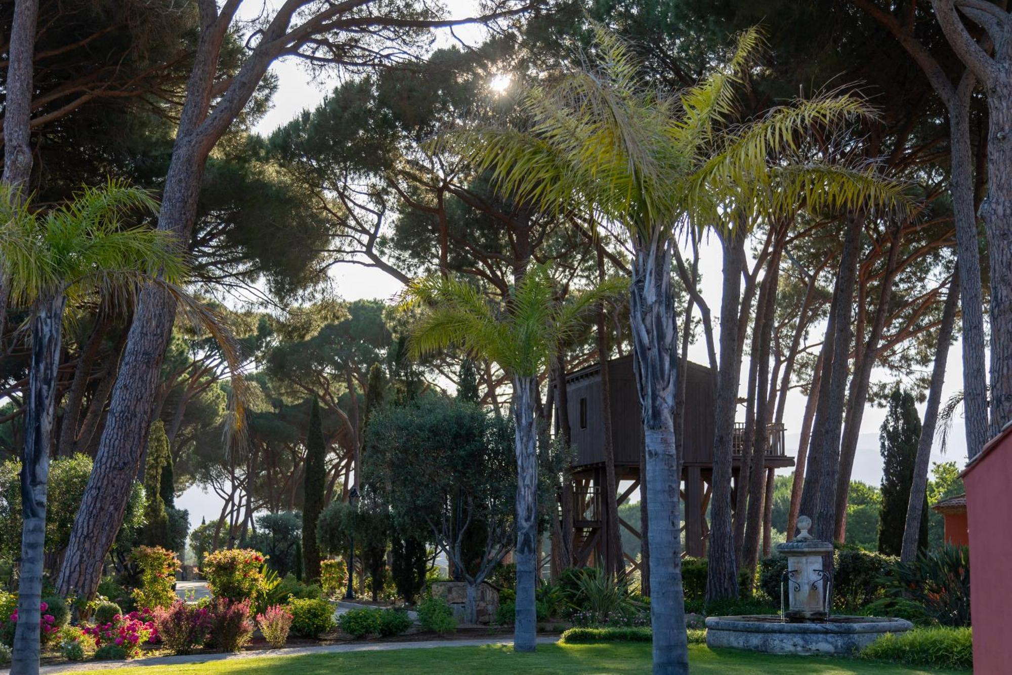 La Signoria Hotel Calvi  Exterior photo