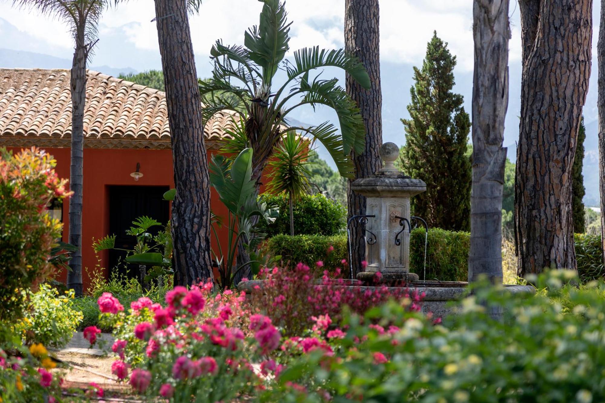 La Signoria Hotel Calvi  Exterior photo